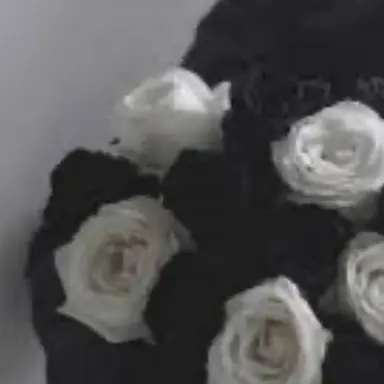 Profile image of 카이쿠