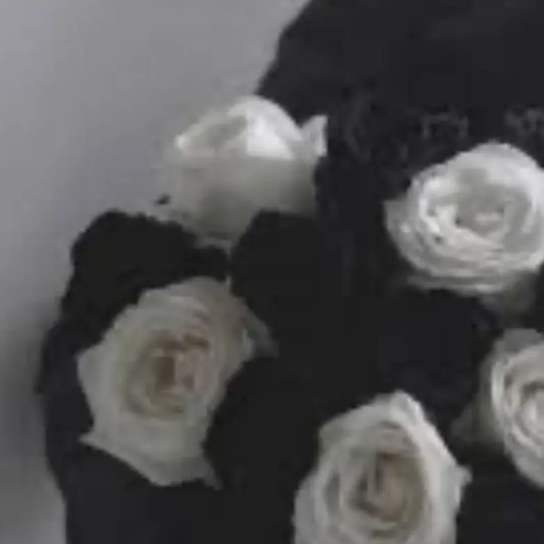 StuffyVomit2571의 갠용