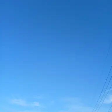 Profile image of 김늑대