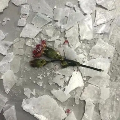 Profile image of 한민율