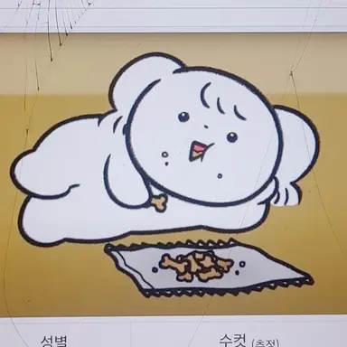 Profile image of 뽀삐