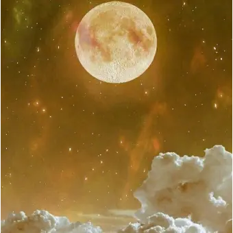 Profile image of 박경원