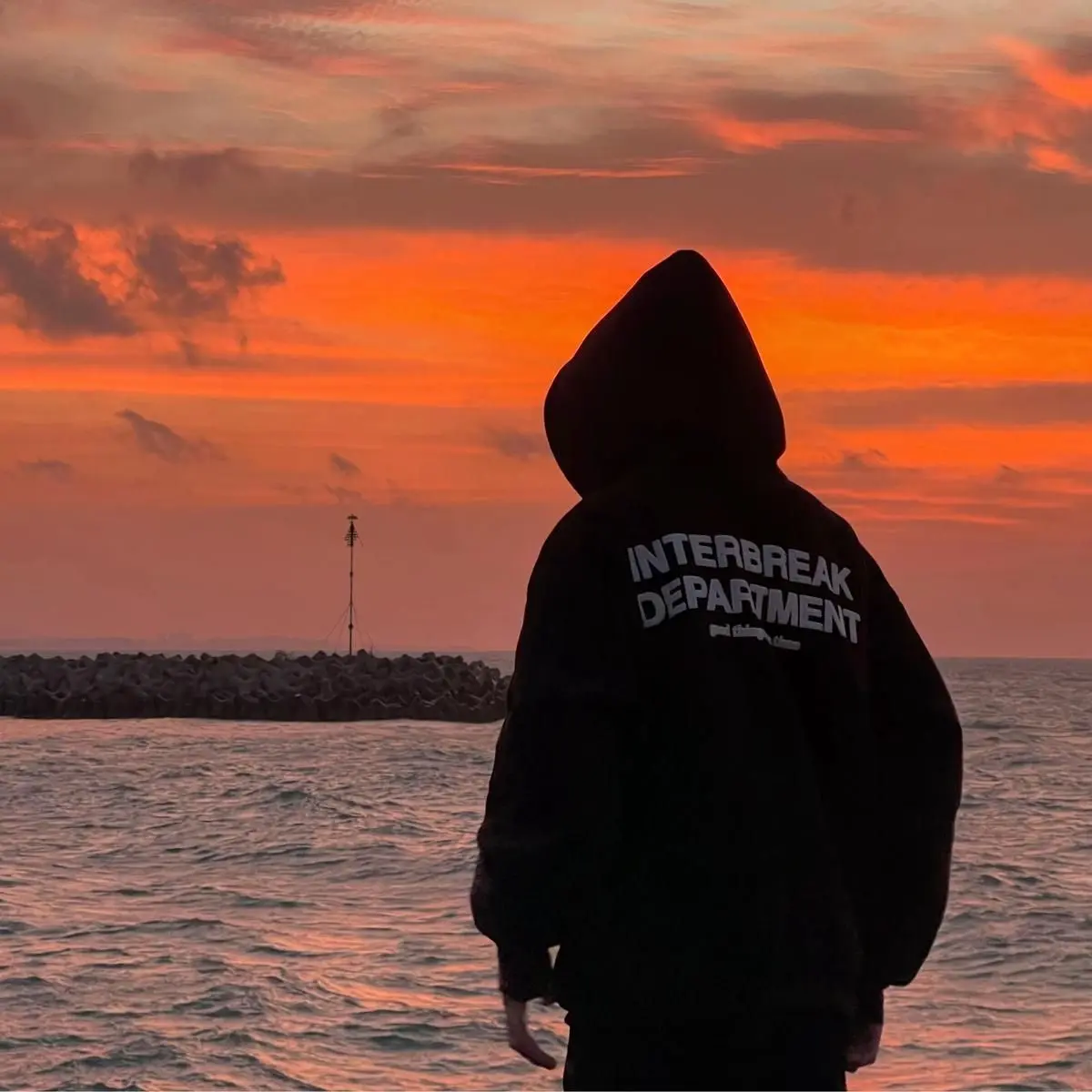 ChubbySong1961의 俺、めっちゃすき