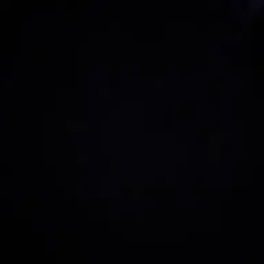 Profile image of 유우시