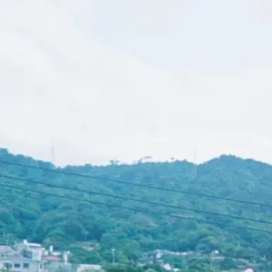 Profile image of Rye Inami