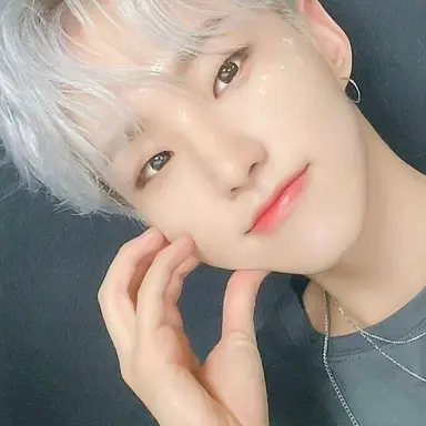 Profile image of ホシ