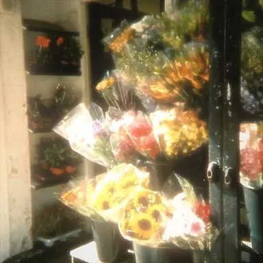 Profile image of 김각별