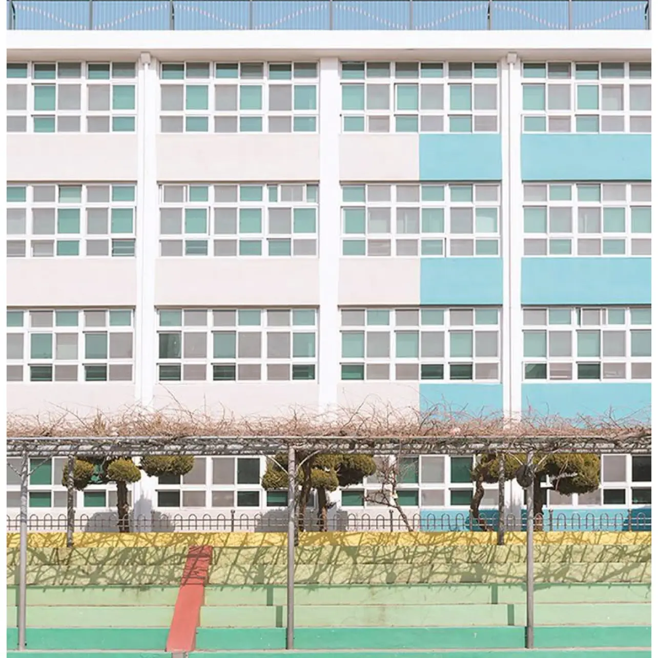 zop의 남고에 여학생이 전학왔다?!