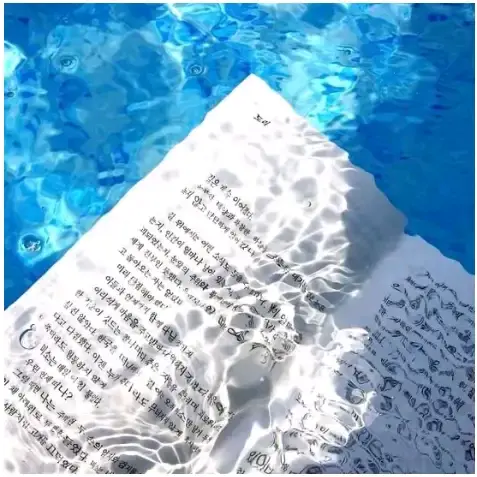 OverlySable5754의 自由