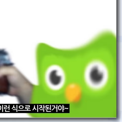듀오링고 대표 이미지