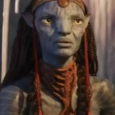 Profile image of Moat