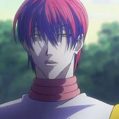 Profile image of ヒソカ
