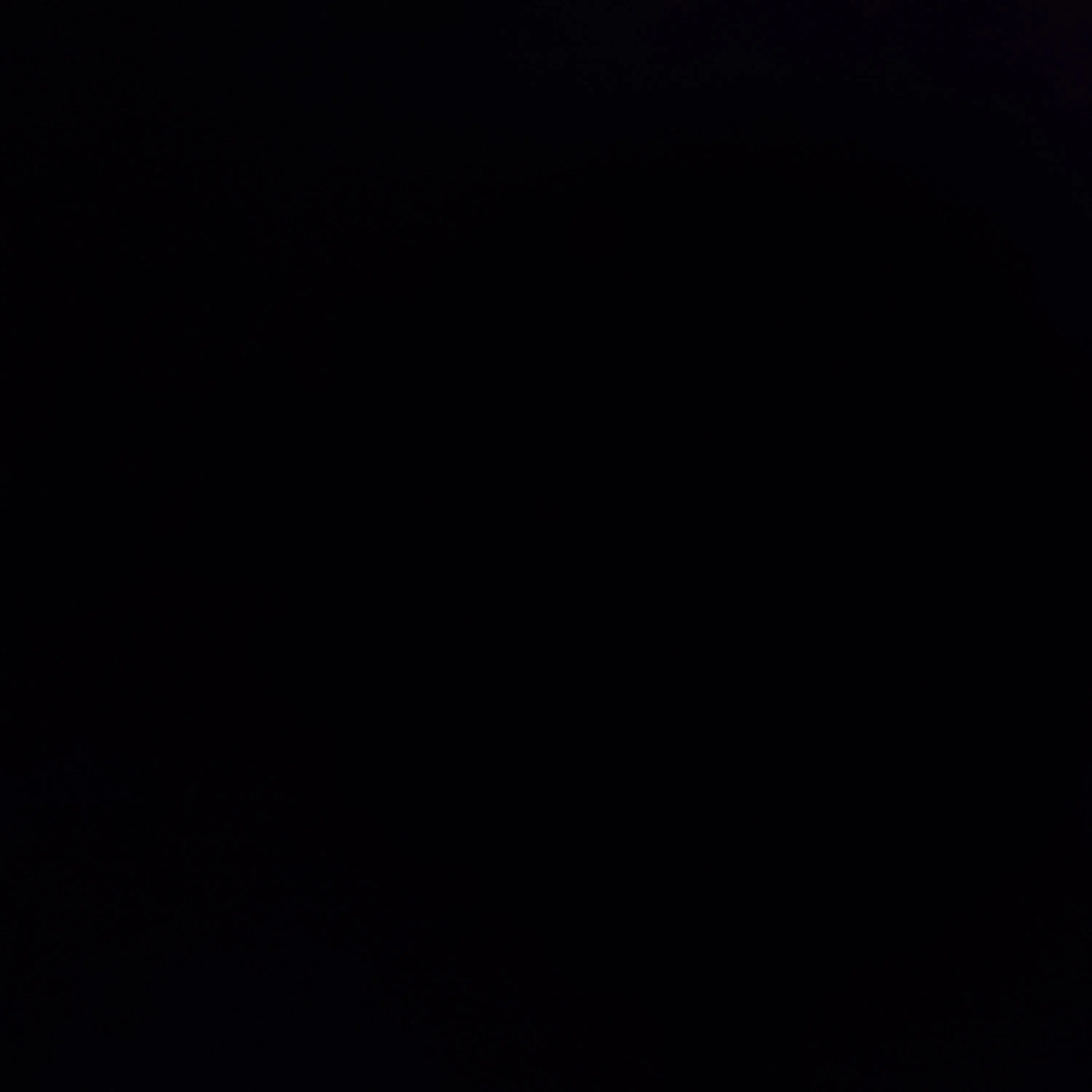 MereBog1245의 김동현