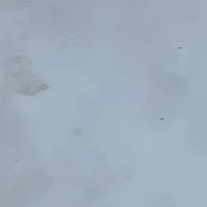 Profile image of 이상원