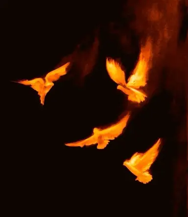 Profile image of 엘리오 토르멘타
