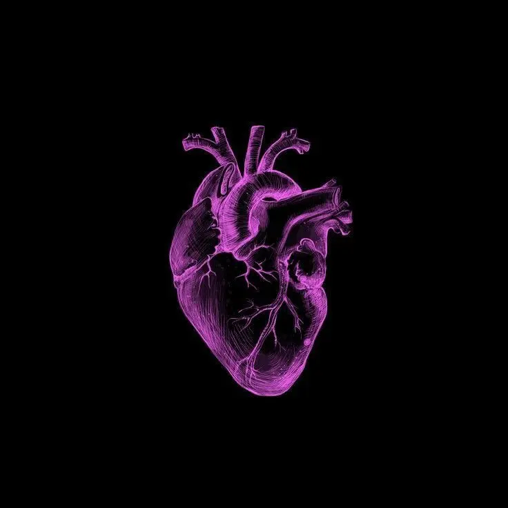 SmugCart1864의 loveit ?