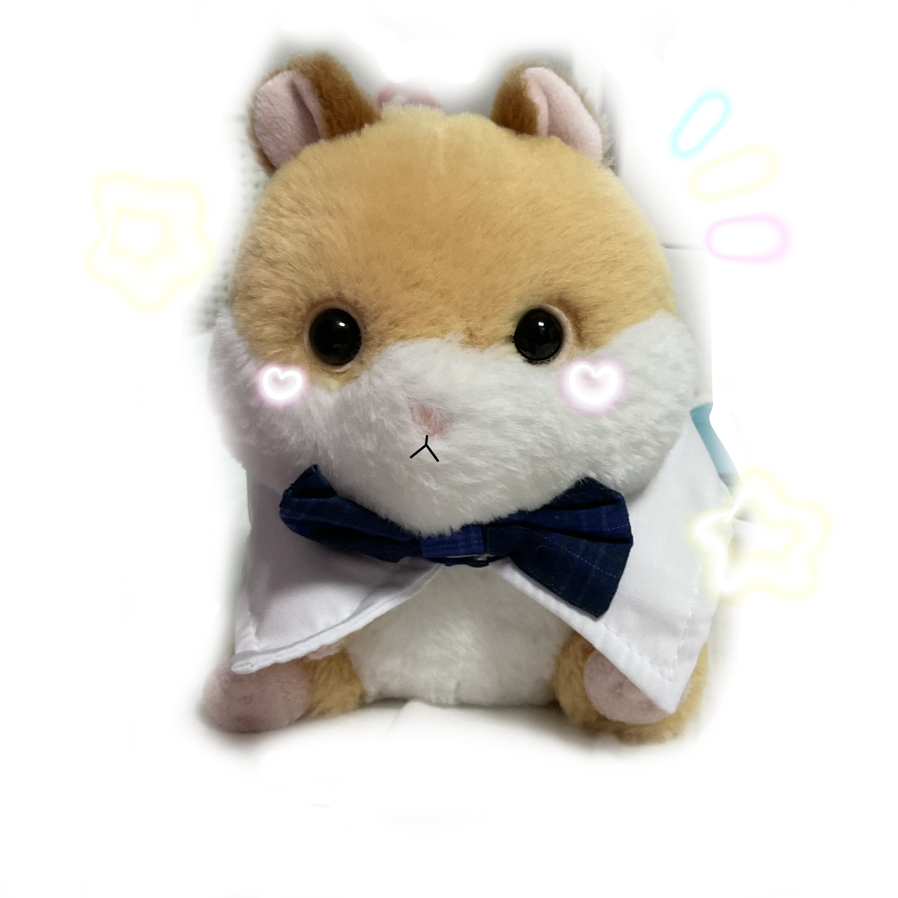 cutehamster_6의 땅콩