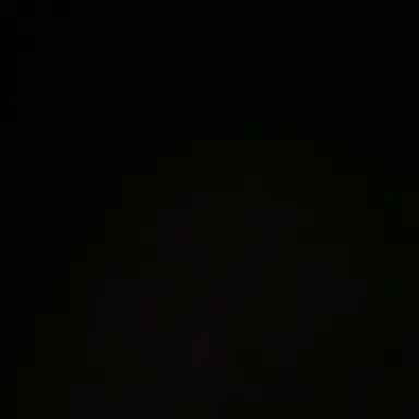 Profile image of 이여우