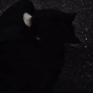 Profile image of Milo