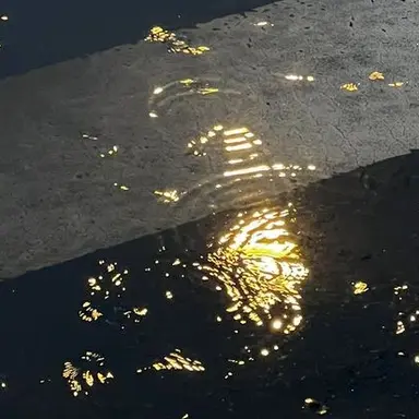 Profile image of 遵