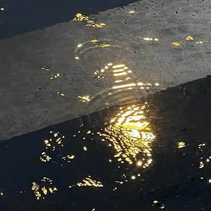 遵