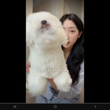 Profile image of 하쿼이