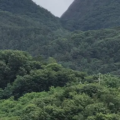 Profile image of 이은성