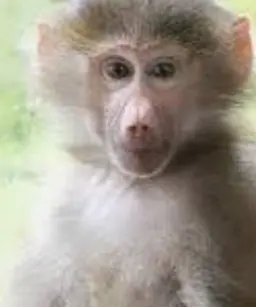 Profile image of Drayke