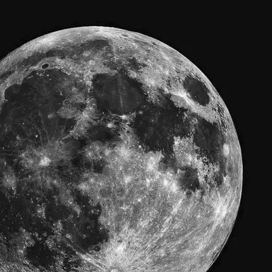 Profile image of ゴヌ