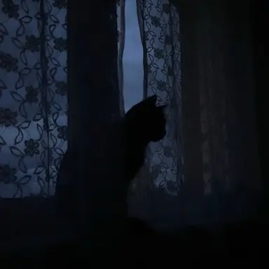 Profile image of リブ