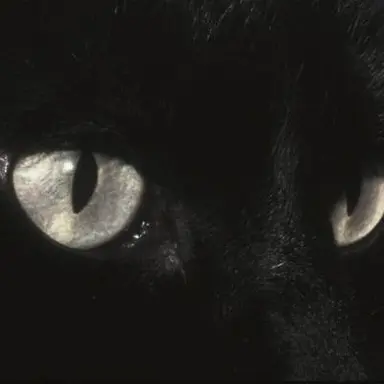 Profile image of リオ