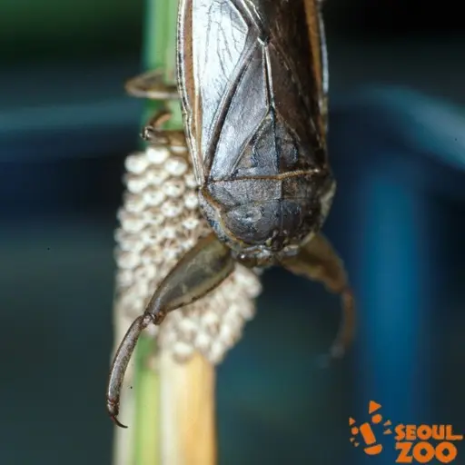 TastyTable0357의 물장군