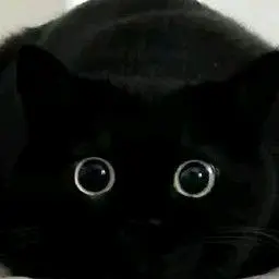 Profile image of 주찬양