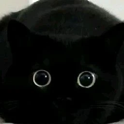 주찬양