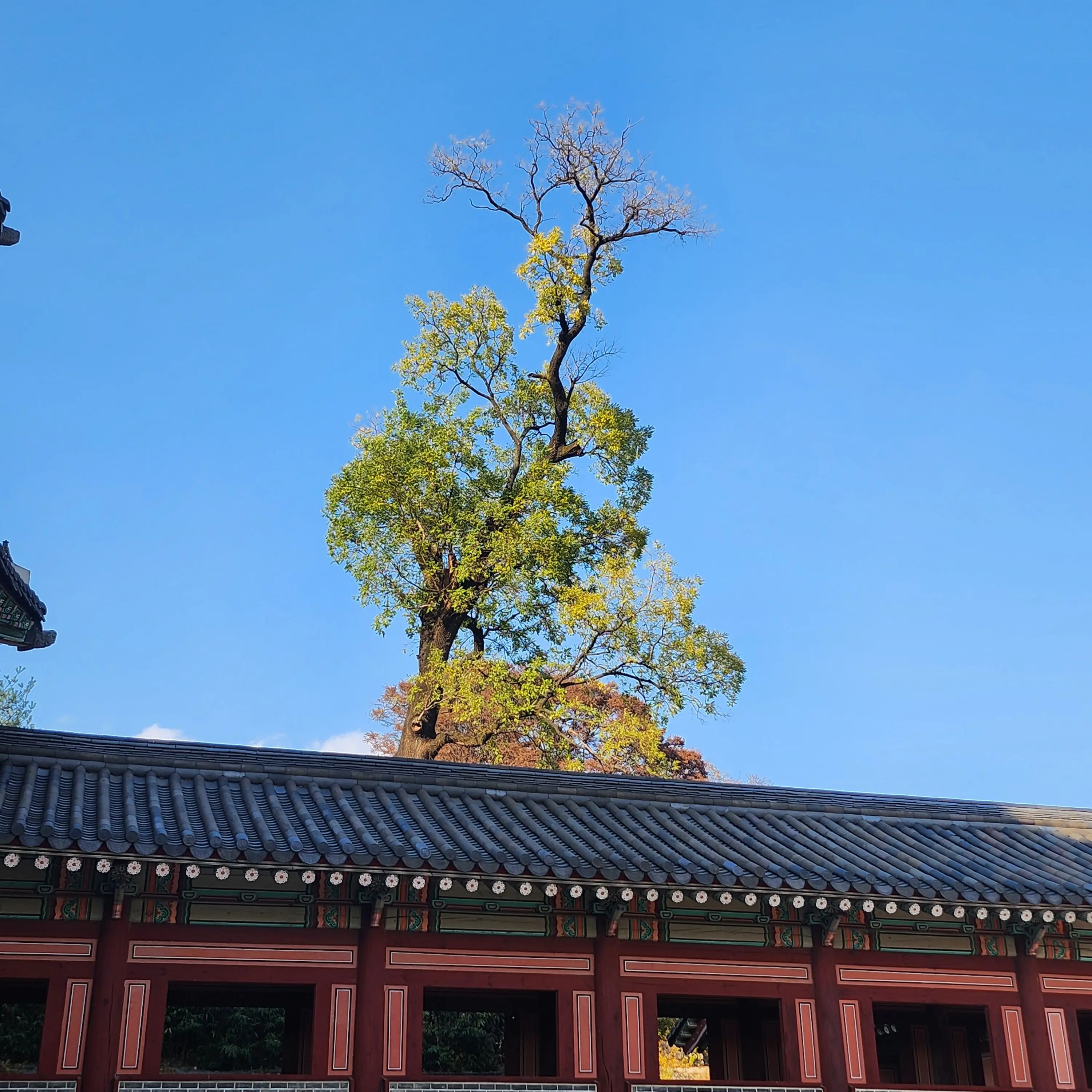 A_SALAM_NONLAN의 무협세계관