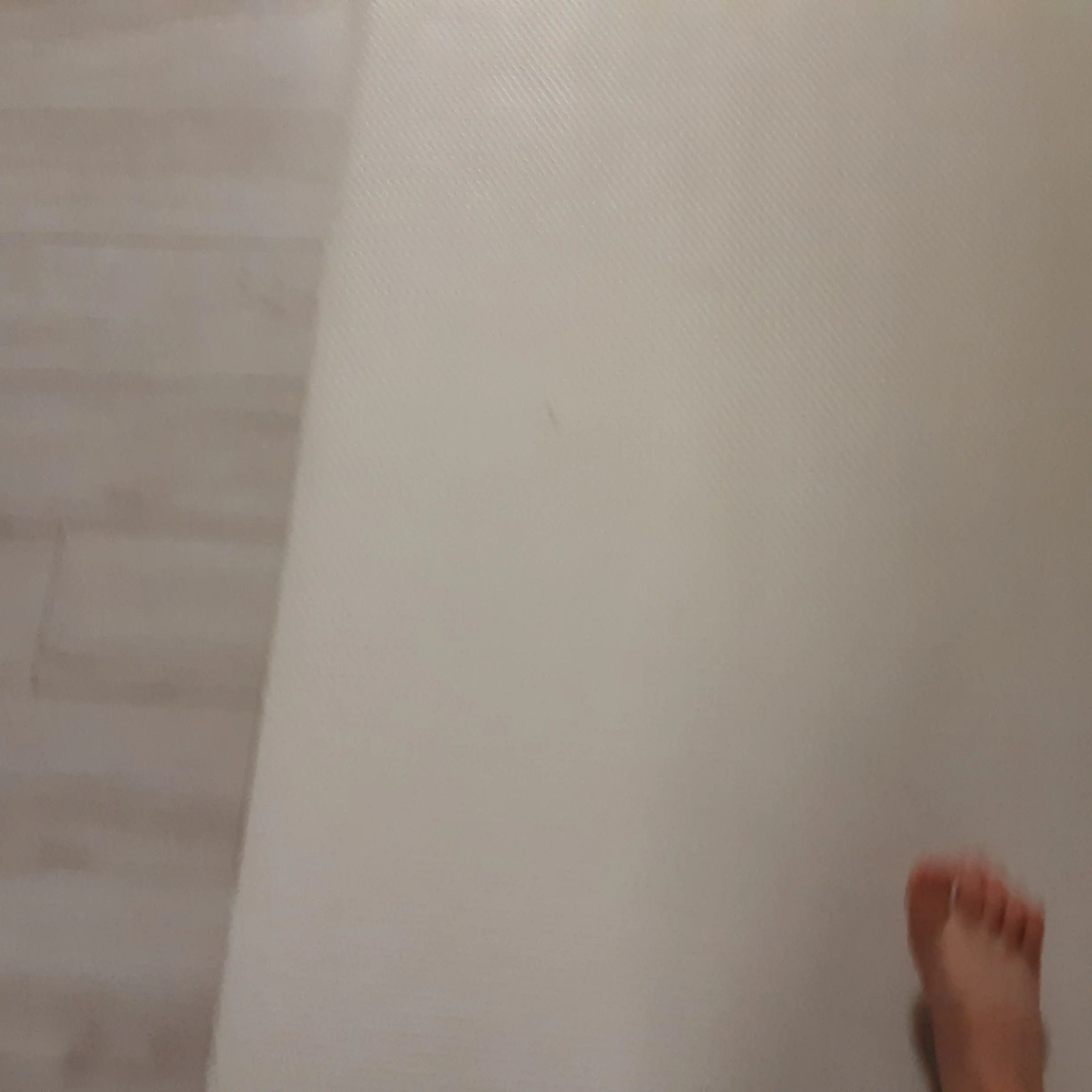 SimpleKra의 여우가전학