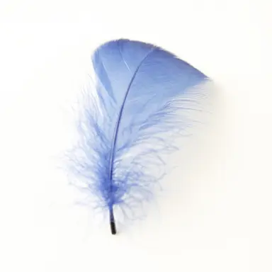 Profile image of カナエ