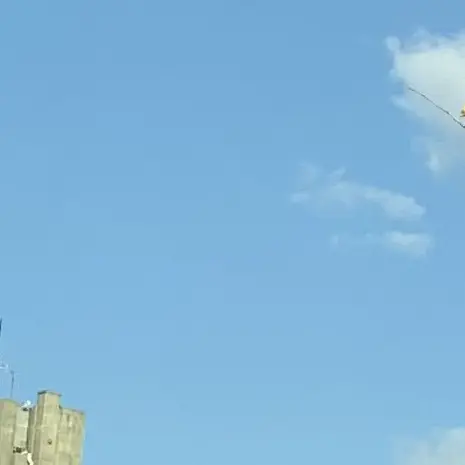 jinto_Love의 ハプニング👾