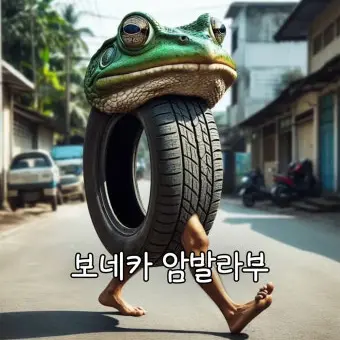 BusyFinch7870의 보네카 암발라부