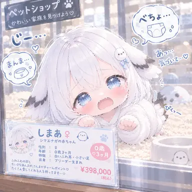 Profile image of しまあ