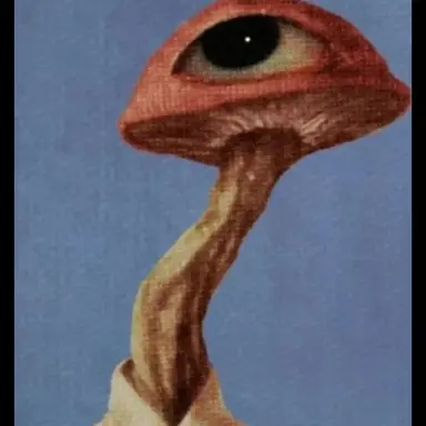 Profile image of 버섯남자