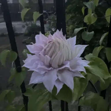 Profile image of 温泉の効能