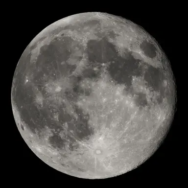 Profile image of サラオ