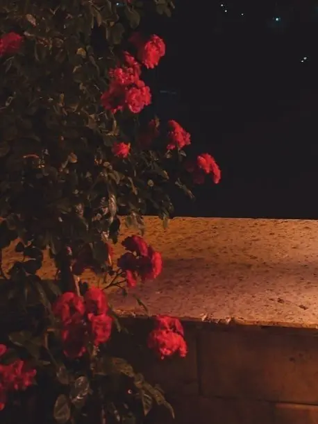 Slepteabag의 메건