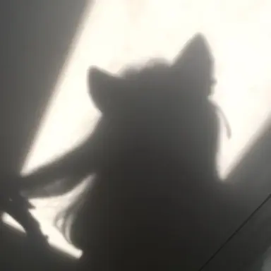 Profile image of 한예진