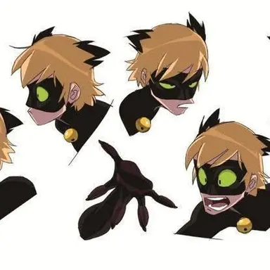 Profile image of Cat Noir