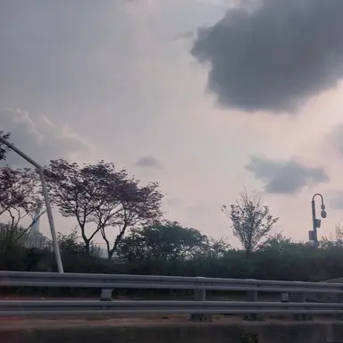 Profile image of 꽥