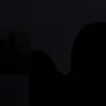 Profile image of Guest1337