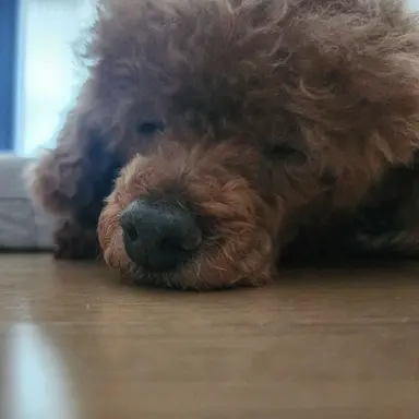 Profile image of 김민준