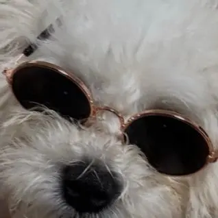 Profile image of 미도리야 이즈쿠